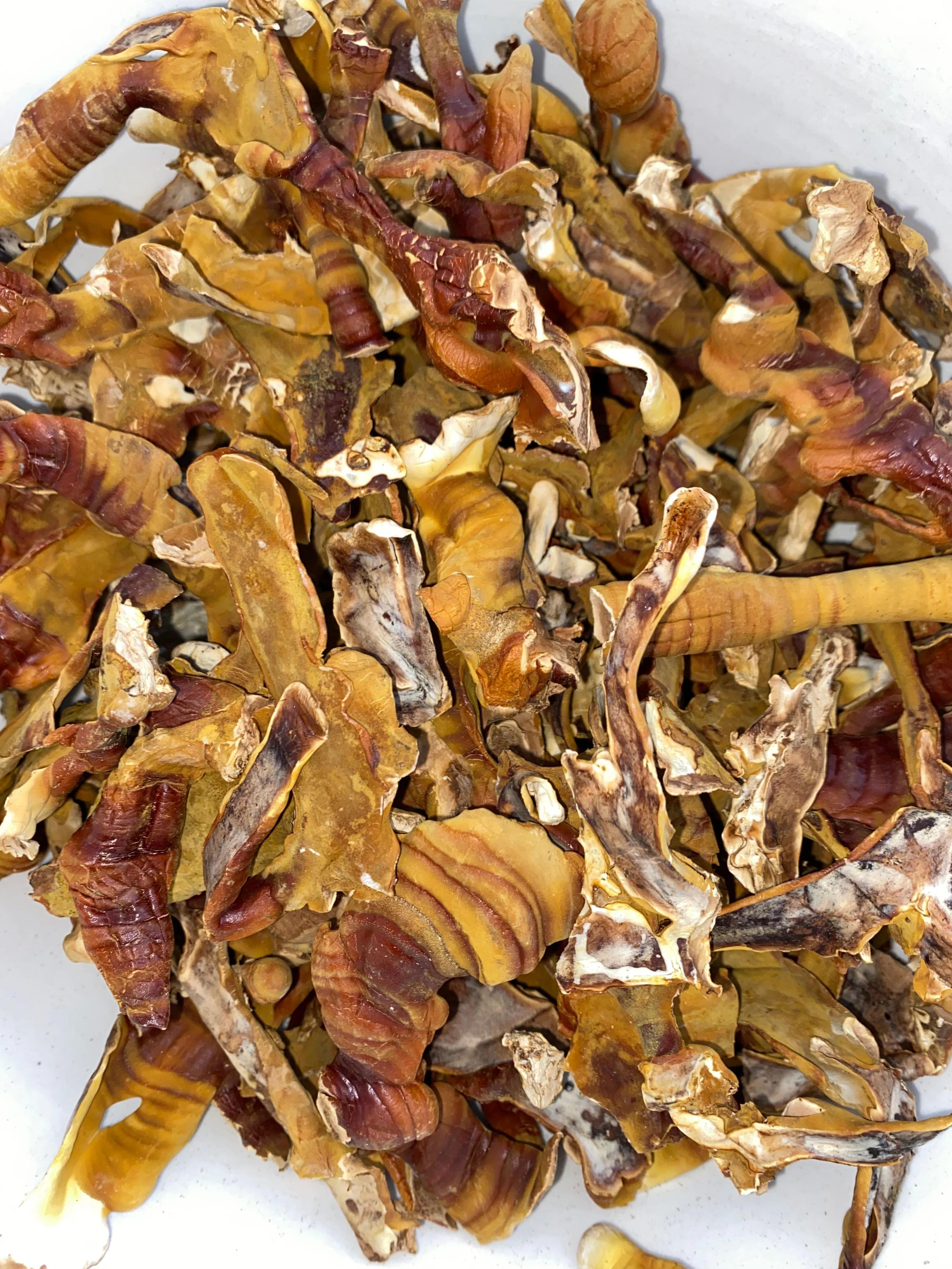 CORE PACK - Image 8