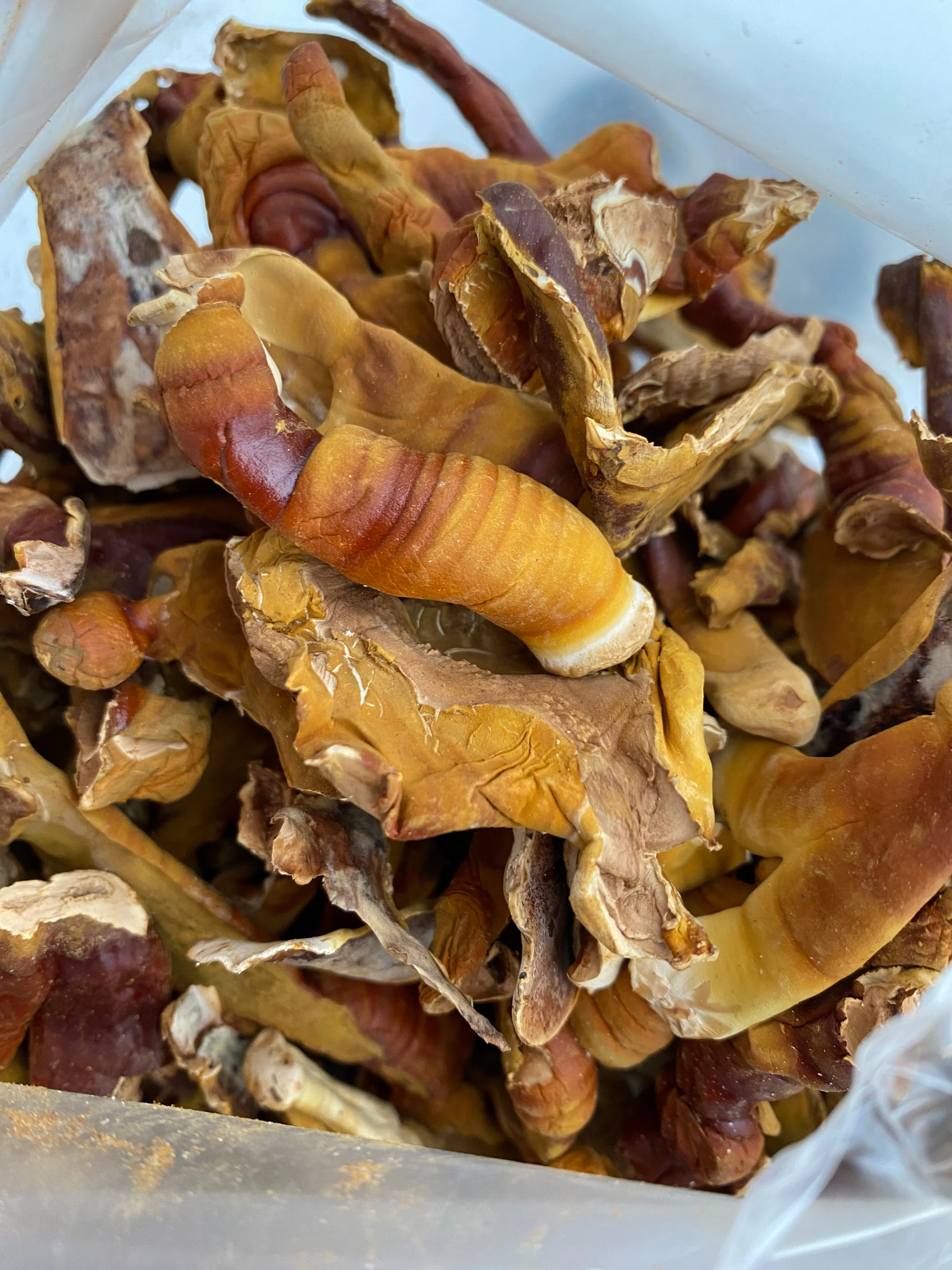 CORE PACK - Image 9