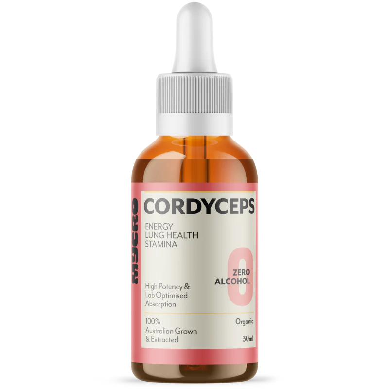 CORDYCEPS - Image 3