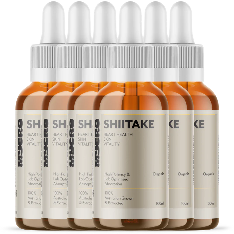 SHIITAKE - Image 12