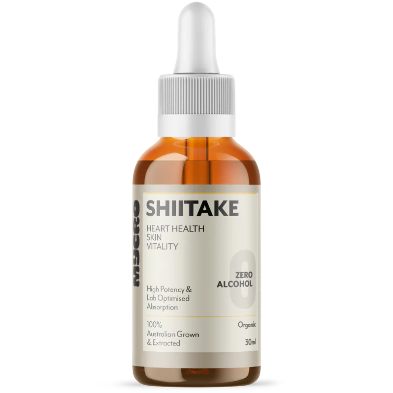 SHIITAKE - Image 8